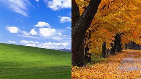 Windows XP Autumn Wallpapers - Top Free Windows XP Autumn Backgrounds - WallpaperAccess