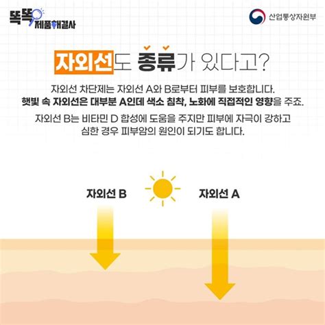 자외선 차단제 정확히 알고 바르자 Top50 뉴스 대한민국 정책브리핑