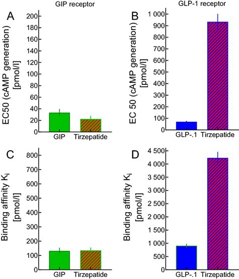 Binding Affinity Of GIP GLP 1 And The Dual GIP And GLP 1 Receptor