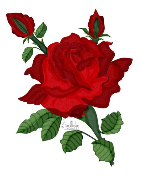 American Beauty Rose Painting By Anne Norskog Fine Art America
