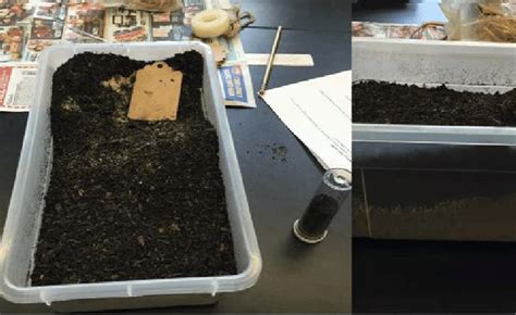 1. Session One: Soil Core Sampling Activity | Download Scientific Diagram