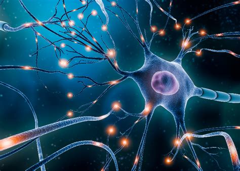 What is Multiple Sclerosis (MS) - MS Australia 