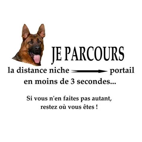 Plaque Chien Rigolo Avec Photo Détourée De Votre Animal De Compagnie