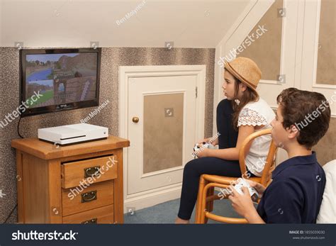 3 Minecraft Brothers Images, Stock Photos & Vectors | Shutterstock