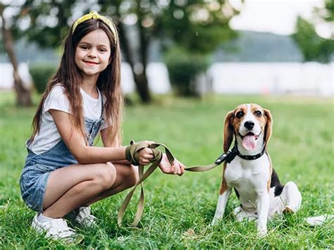 ¿cuáles Son Las Responsabilidades De Tener Una Mascota Para Los Niños