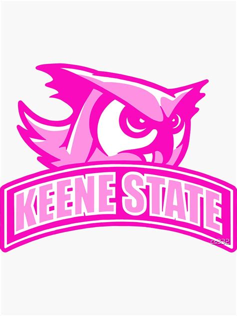 Keene State College Pink Logo Sticker By Cs332 Redbubble