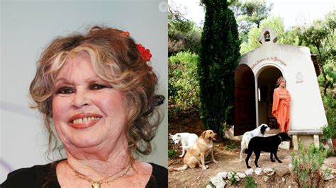 Brigitte Bardot La Garrigue Son Autre Maison Introuvable O Elle