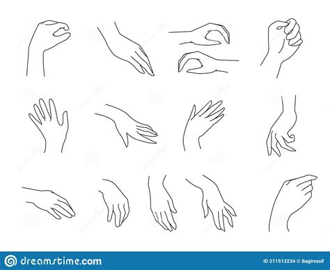 Illustration Vectorielle De Contour Simple Des Paumes De Mains Dans