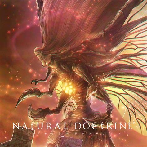 Natural Doctrine Dlc 追加內容