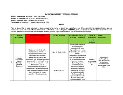 Matriz Indicadores Y Acciones Departamento Del Meta MATRIZ