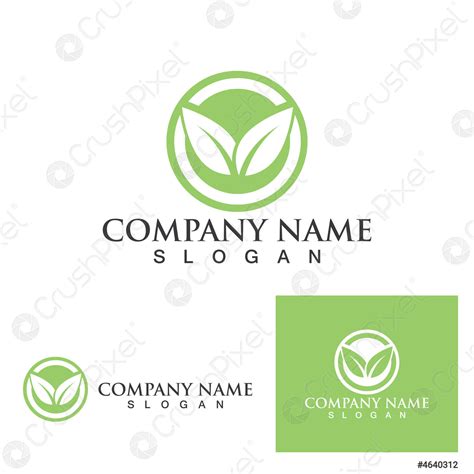 Logos Of Green Leaf Ecology Nature Element Vector Stock Vector