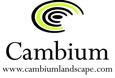 Madrona Neighborhood Association – A Diverse & Welcoming Community in