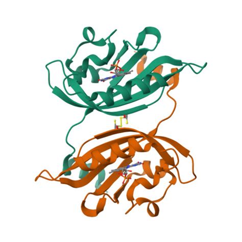 RCSB PDB - 8IL9: Crystal structure of the LOV1 Q122N mutant of ...