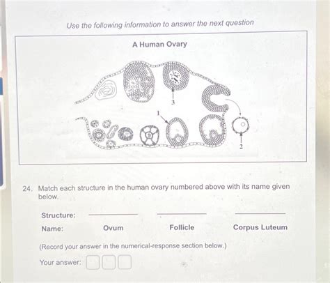 Solved Use The Following Information To Answer The Next