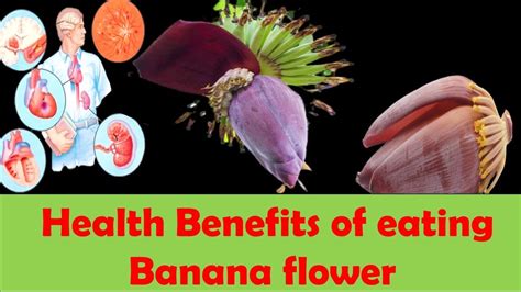 It Is Heard To Relive Banana Flower The Superfood Health Benefits Of Eating Banana Flower Youtube