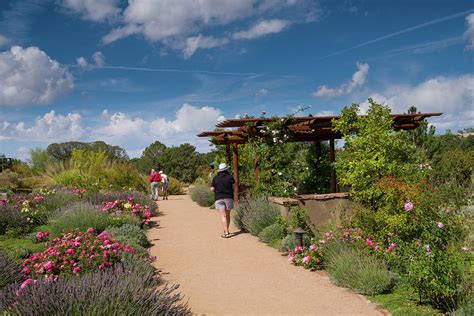 Santa Fe Botanical Garden Photograph By David L Moore Fine Art America