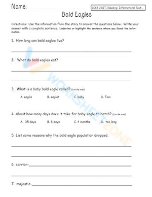 Informational Text worksheets