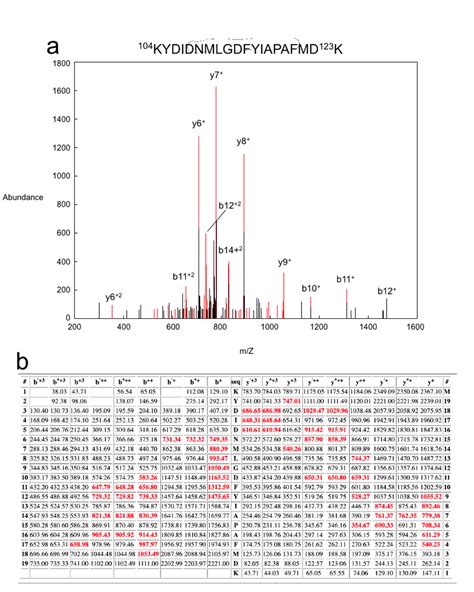 Quality of the Tandem Mass Spectrometry. Shown is the mass spectrometry... | Download Scientific ...