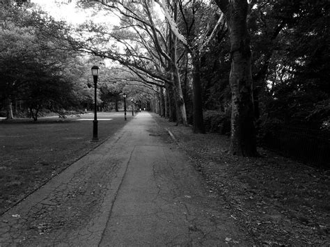 A Stroll Down Memory Lane Smithsonian Photo Contest Smithsonian