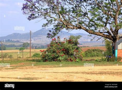 landscape scene in Swaziland kingdom of Eswatini Stock Photo - Alamy