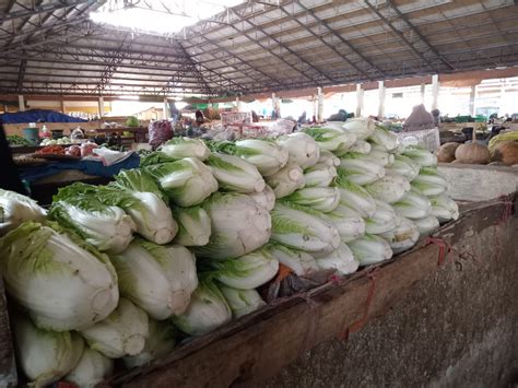 Terpengaruh Kemarau Panjang Harga Sayur Mayur Melonjak Naik Insidelombok