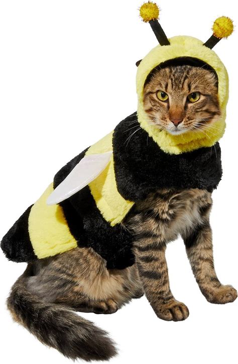 15 Funny, cute and weird Cat clothes/costumes