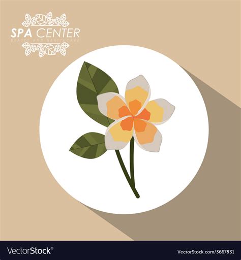spa design royalty  vector image vectorstock