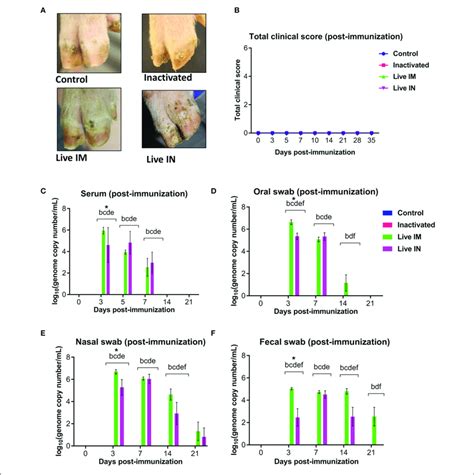 Clinical And Virologic Outcomes After Immunization Twenty Four Download Scientific Diagram