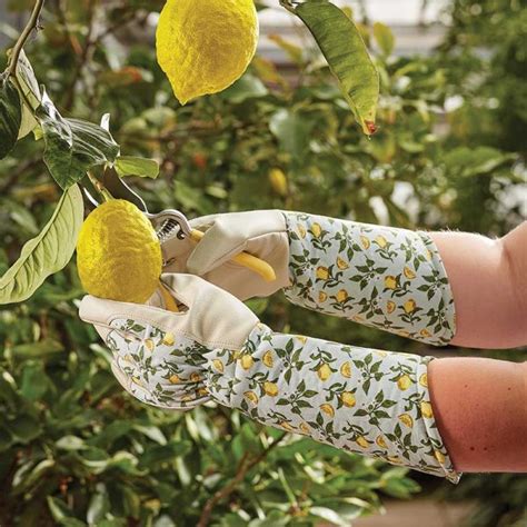 Briers Sicilian Lemon Garden Gauntlets Uk