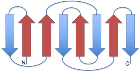 Protein Folds & Domains,Structural Motifs