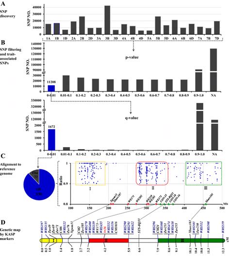 Overview Of Analyses Of Bsr Seq By Allele Difference Ratio Adr A