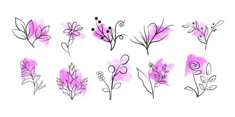 Wild Flowers Vector Collection With Watercolor Herbs Herbaceous