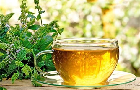 peppermint tea benefits side effects
