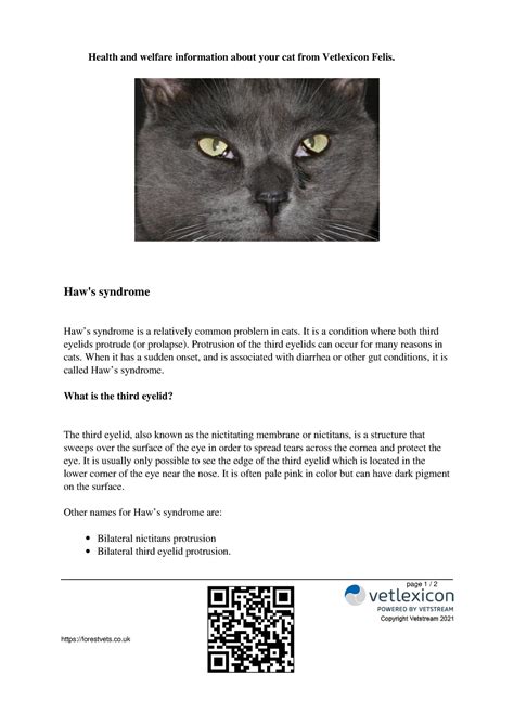 Haws Syndrome From Vetlexicon Cat Health And Welfare Information