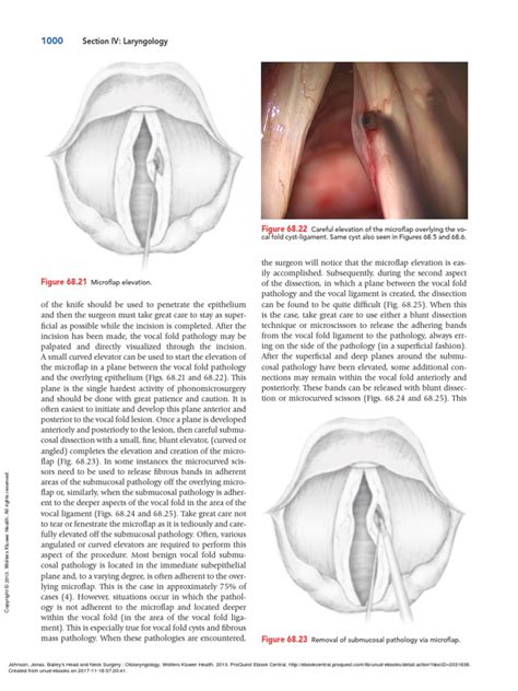 Baileys Head And Neck Surgery Otolaryngology Pg 1032 2032 Pdf Human Anatomy Human