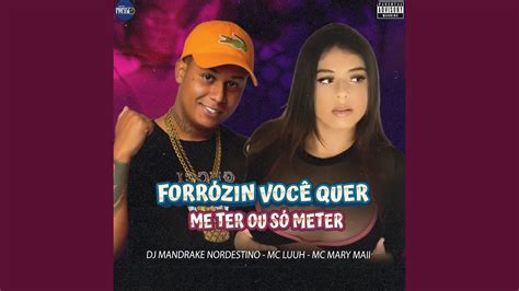 Forr Zin Voc Quer Me Ter Ou S Meter Youtube