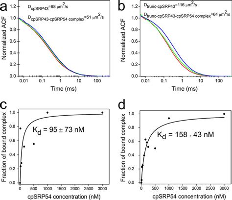 Fluorescence Correlation Spectroscopy Curves Of Full Length A And Download Scientific Diagram