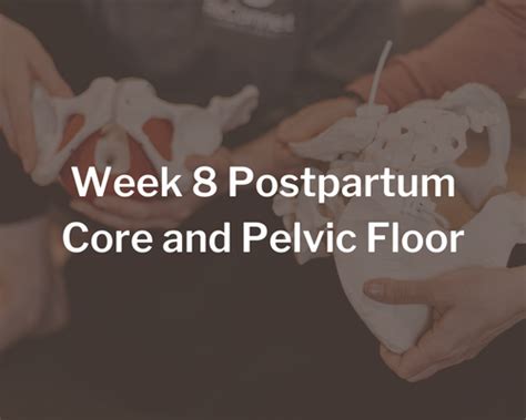 Week 8 Postpartum Core And Pelvic Floor Reconnect Online