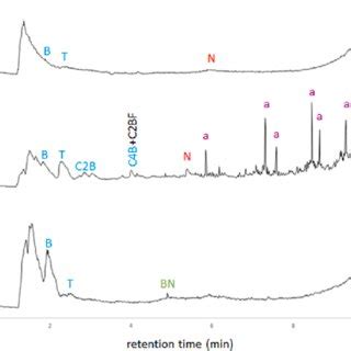 Py Gc Ms Total Ion Current Chromatograms For Samples From Castromao