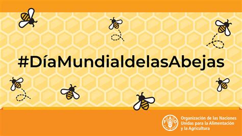 FAO Mesoamérica on Twitter Las abejas son esenciales para la vida en