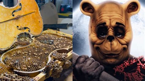 Bee Drenched Violin Creates Winnie The Pooh Blood And Honeys Horror