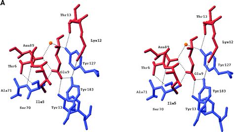 Crystal Structure Of The Interleukin 4 Receptor α Chain Complex Reveals