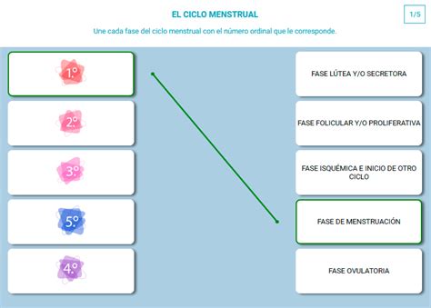 Descubre cómo calcular tu período fértil de forma precisa y efectiva