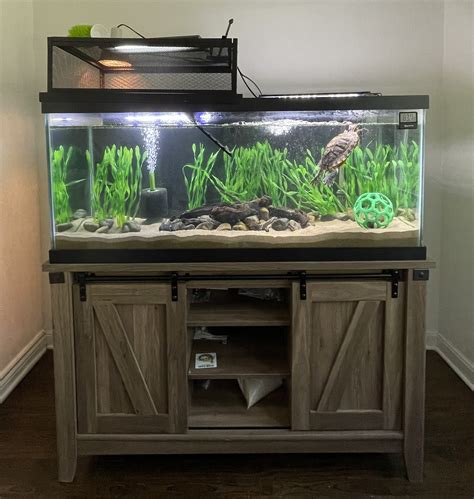 My Turtle Tank Setup Aquatic Realm 57 Off