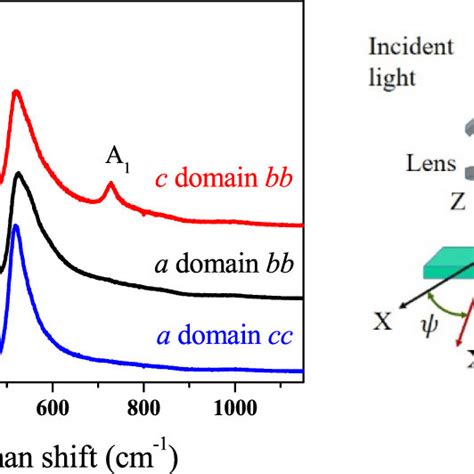 Polarized Raman Measurements On Bto Crystal Left Raman Spectra Download Scientific Diagram