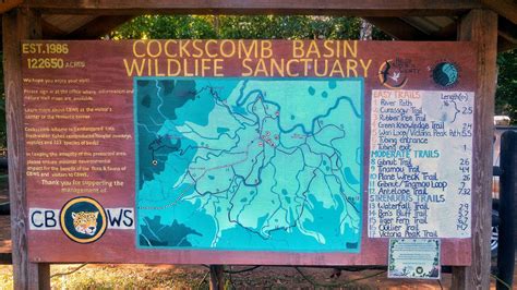 Cockscomb Basin Wildlife Sanctuary And Jaguar Reserve