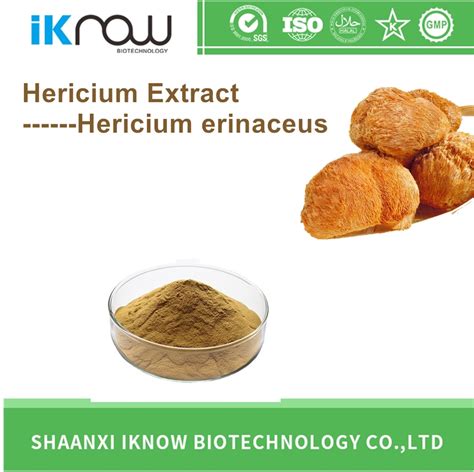 100 Natural Hericium Erinaceus Mushroom Extract Brown Powder For Anti