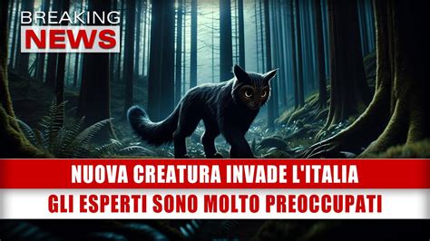 Nuova Creatura Invade L Italia Gli Esperti Sono Molto Preoccupati