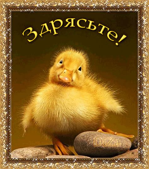 gif - Поиск | Cool animations, Animals, Gif