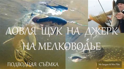 Ловля щук на джерк на мелководье - YouTube